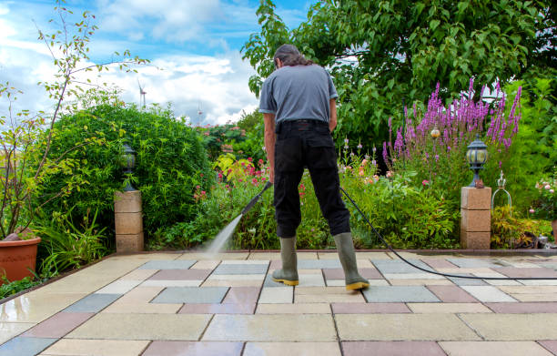 Best Animal Enclosure Cleaning  in Vista Center, NJ